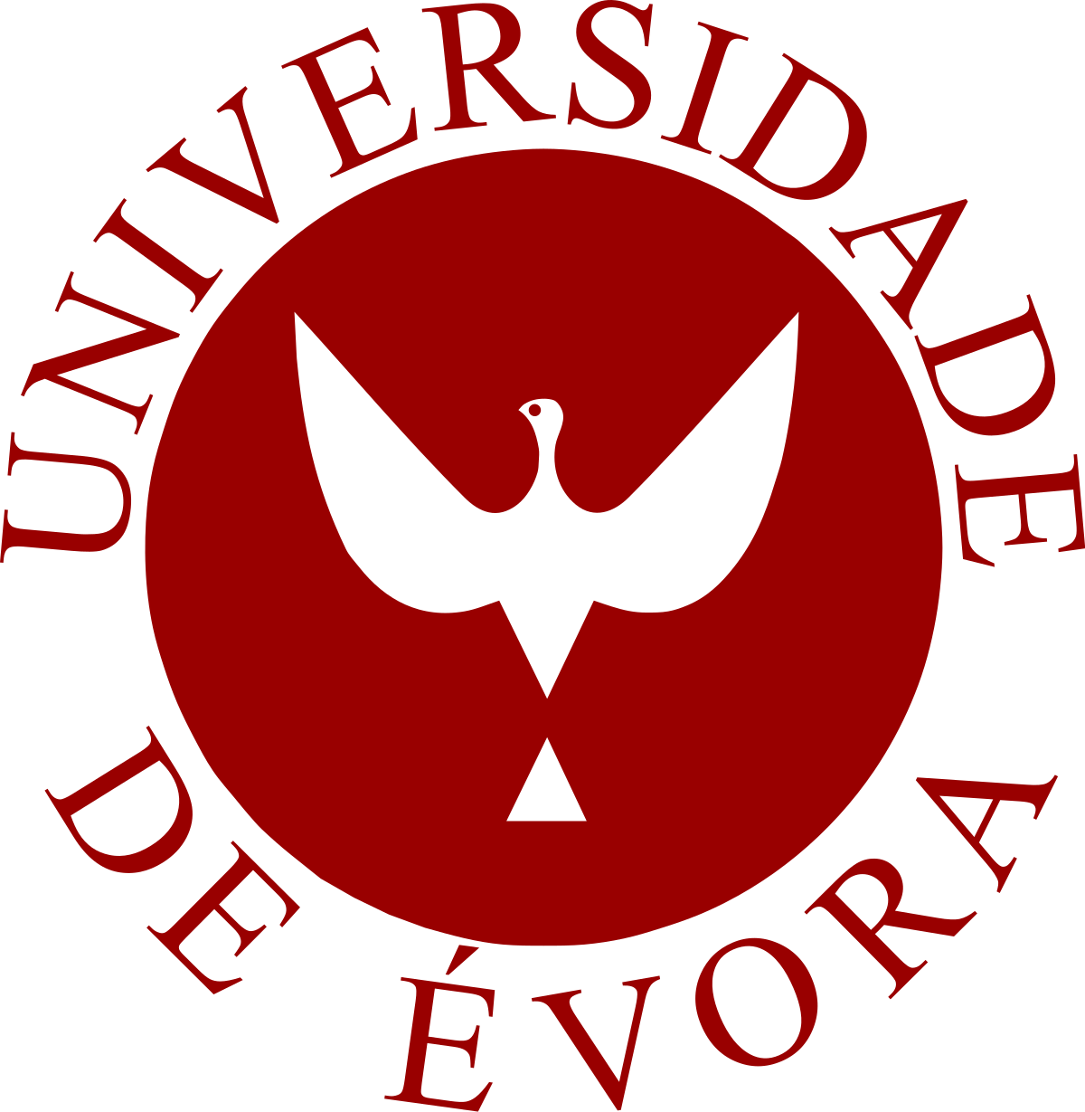 جامعة إيفورا